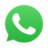 whatsapp-pet247